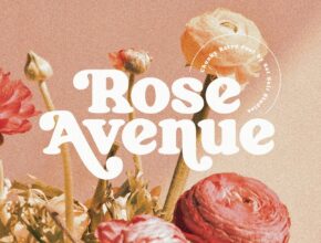 Enjoy Free Rose Avenue Font