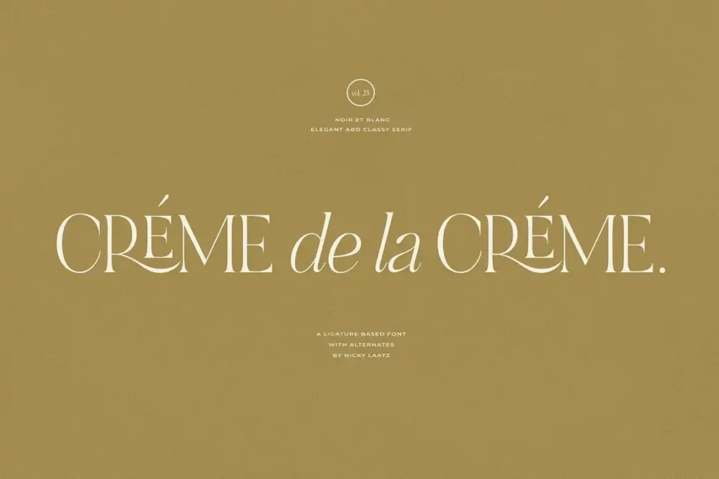 Noir et Blanc Stylish Serif 3