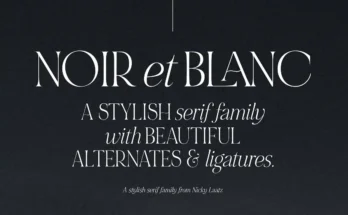 Noir et Blanc Stylish Serif
