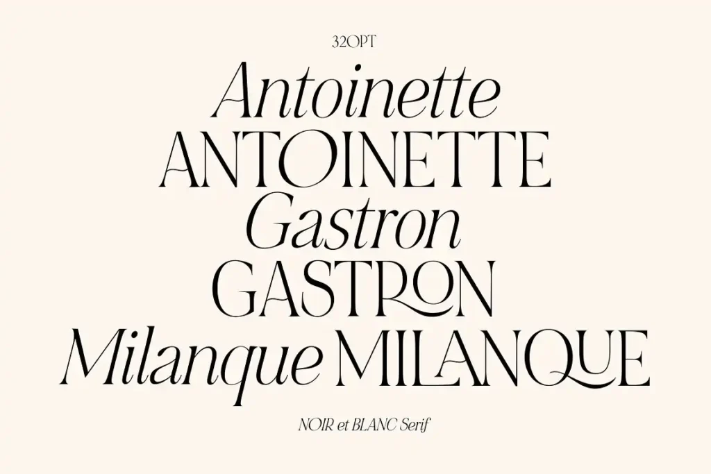 Noir et Blanc Stylish Serif 4