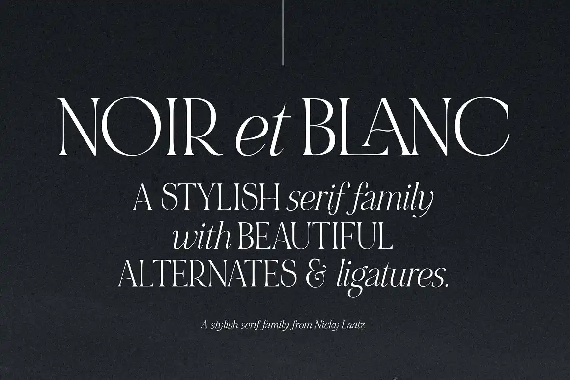 Noir et Blanc Stylish Serif